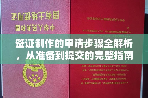 城子河签证制作的申请步骤全解析，从准备到提交的完整指南